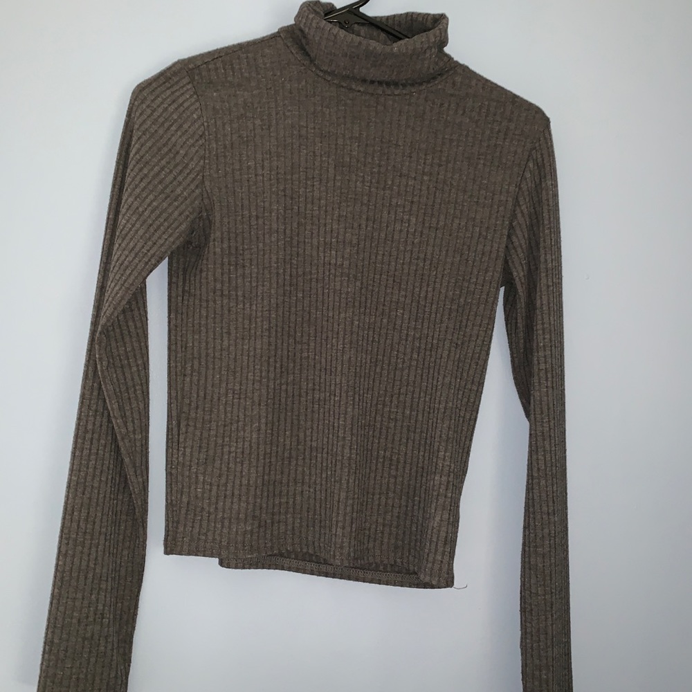 Prince and fox turtleneck